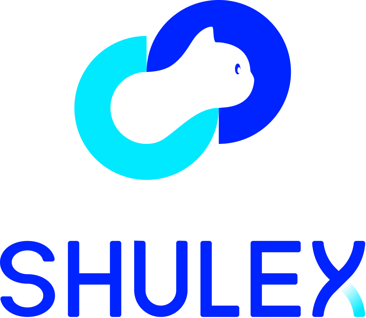 Shulex Insight